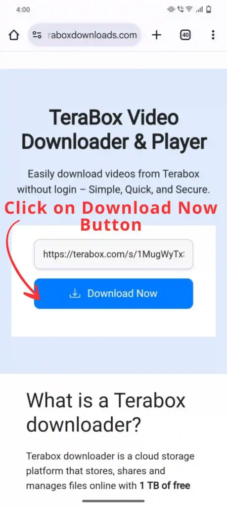 click on terabox download button