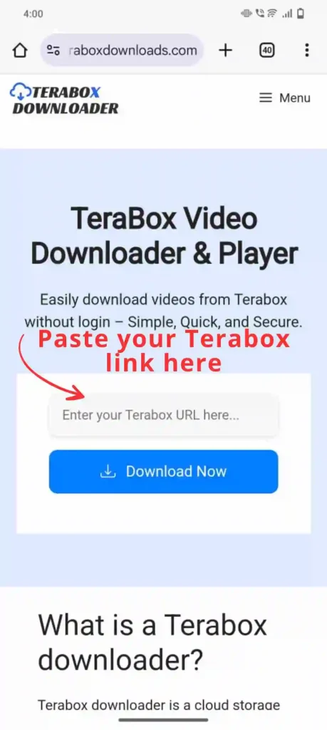 past terabox link