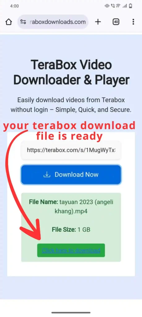 terabox downloader file